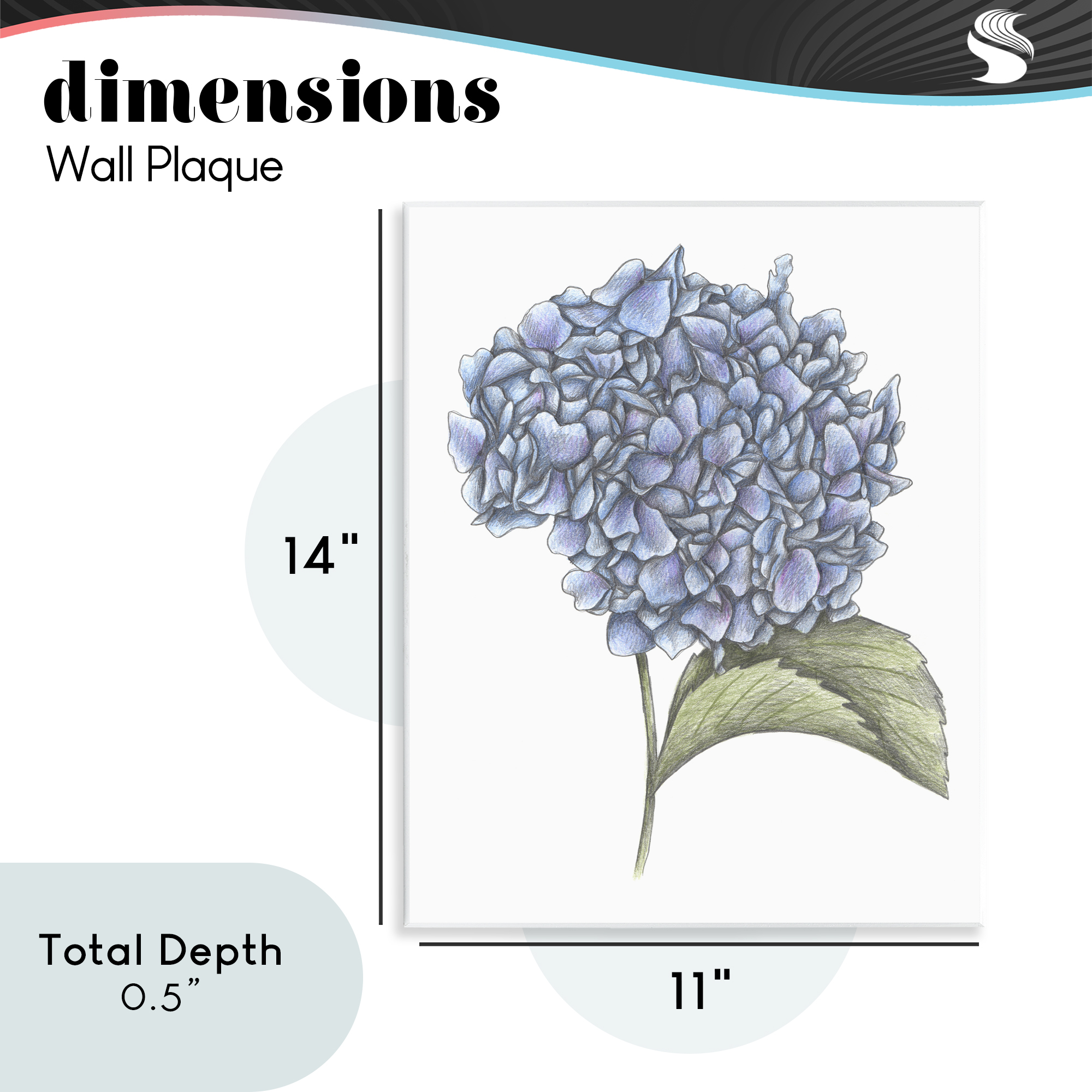 Hydrangea Sketch Blossom Wall Plaque Art, design by Cecilia Battaini