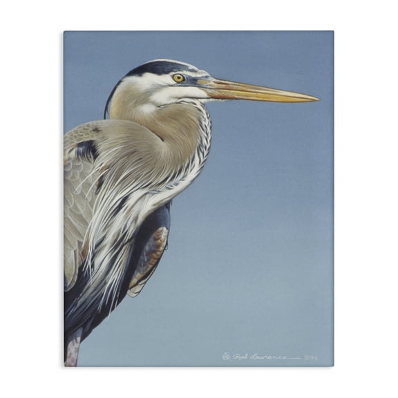 Stupell Industries Coastal Heron Portrait on Blue Canvas Art, 16 x 20, by Rod Lawrence