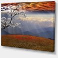 thumbnail image 2 of Beautiful Flower Field At Sunset - Extra Large Landscape Canvas Art, 2 of 3