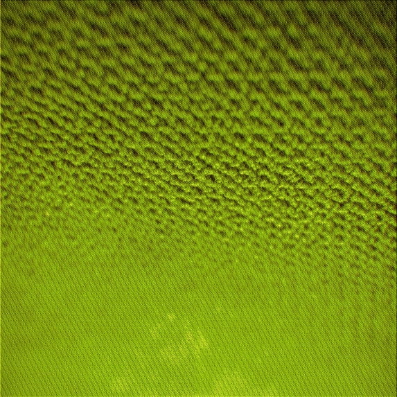 Ahgly Company Indoor Square Patterned Pistachio Green Area Rugs, 7' Square
