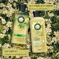 thumbnail image 5 of Shampoo Herbal Essences Brillo Manzanilla & Pasiflora 400 ml, 5 of 5