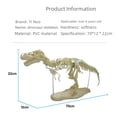 thumbnail image 5 of Jurassic Explorer: Large-Sized T-Rex Fossil Assembly Kit for Kids 7-14 – Educational PVC Dinosaur Model with Paint, Brushes & Glue, Decorative Living Room Display, Easy-to-Build Prehistoric Toy in, 5 of 5