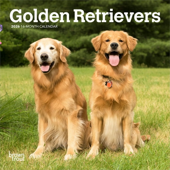 Golden Retrievers | 2026 7x14" (Hanging) Monthly Mini Wall Calendar | BrownTrout