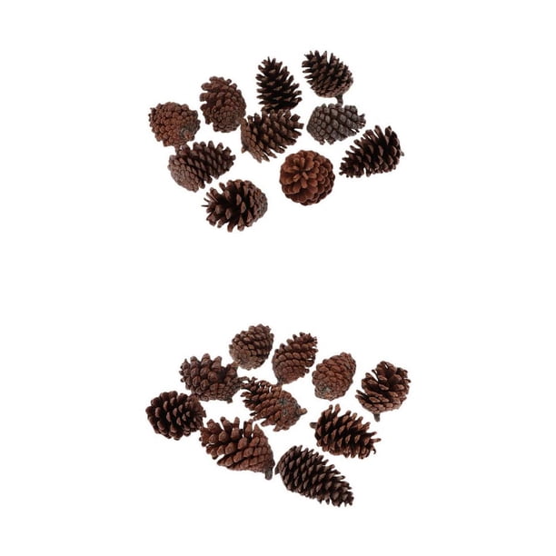 20x Conos De Pino Secos Naturales Relleno De Florero Grande Decoración De De