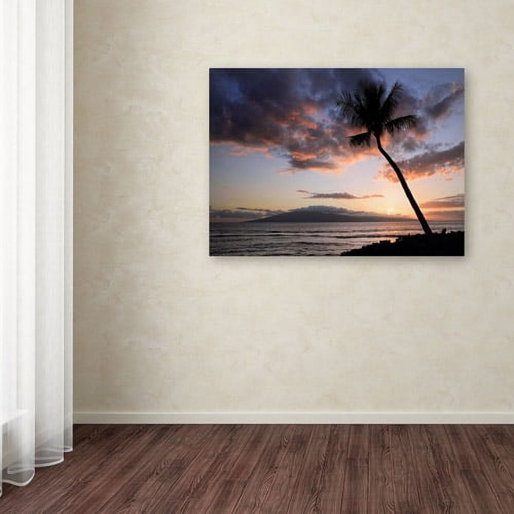 Trademark Fine Art "Palm Tree Maui" Canvas Art by Pierre Leclerc