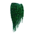 thumbnail image 3 of fenteer Belly Dance Hip Scarf Wrap Dress Clothes Sequins Skirt for Samba Rumba Tango Green, 3 of 8