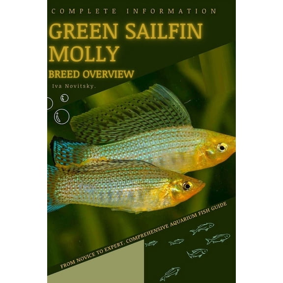 Green Sailfin Molly: From Novice to Expert. Comprehensive Aquarium Fish Guide (Paperback)