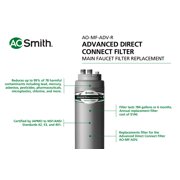 A. O. Smith Main Faucet Filter Replacement