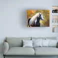 thumbnail image 3 of PHBurchett 'Golden Lit Horse III' Canvas Art, 3 of 3