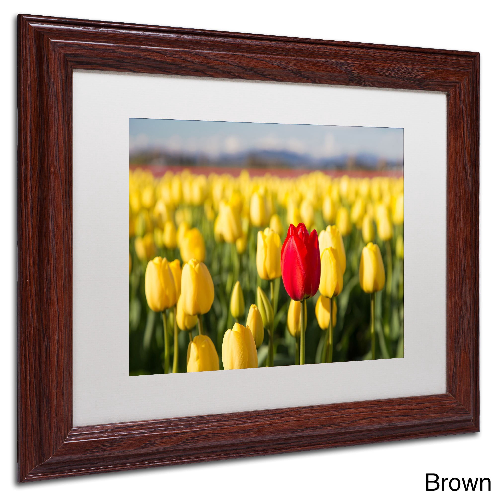 Trademark Fine Art "Red Tulip" Canvas Art by Pierre Leclerc, White Matte/Black Frame