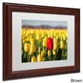 thumbnail image 2 of Trademark Fine Art "Red Tulip" Canvas Art by Pierre Leclerc, White Matte/Black Frame, 2 of 3
