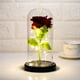thumbnail image 4 of Matsuzay Flor de rosa eterna, pantalla de cristal, belleza, lámpara LED con batería, boda, cumpleaños, decoración de fiesta de San Valentín Iluminación navideña Matsuzay HA021815-00, 4 of 6