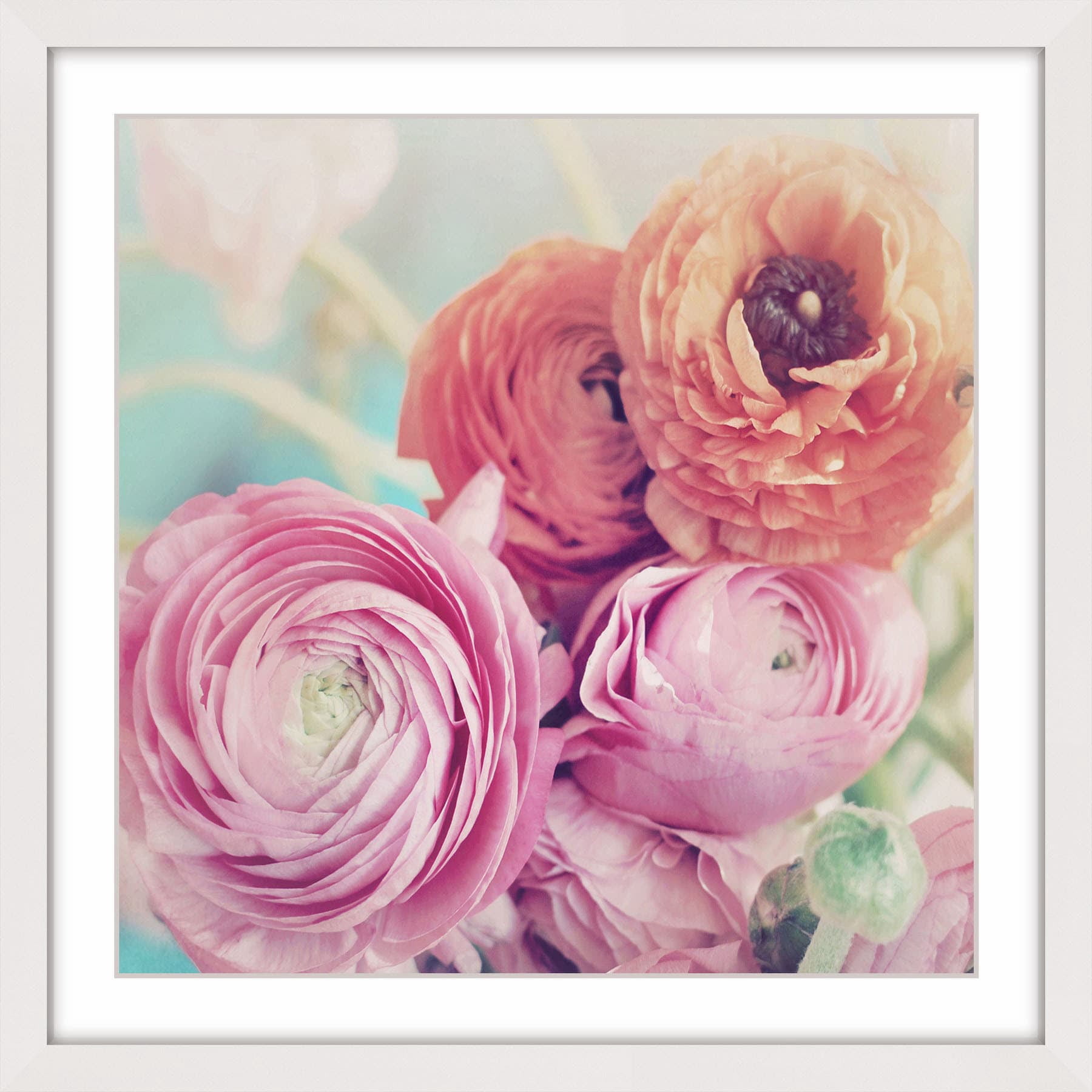 Marmont Hill "Ranunculus Bouquet" Framed Painting Print