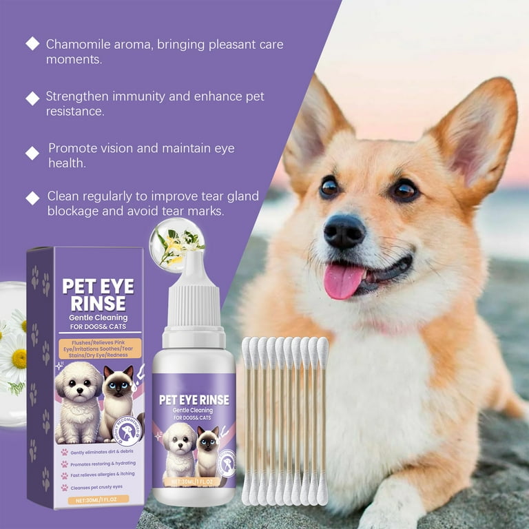 Eye Drops Dog Blockage Home Treatment Dry Eye Syndrome In Dogs PetMD
