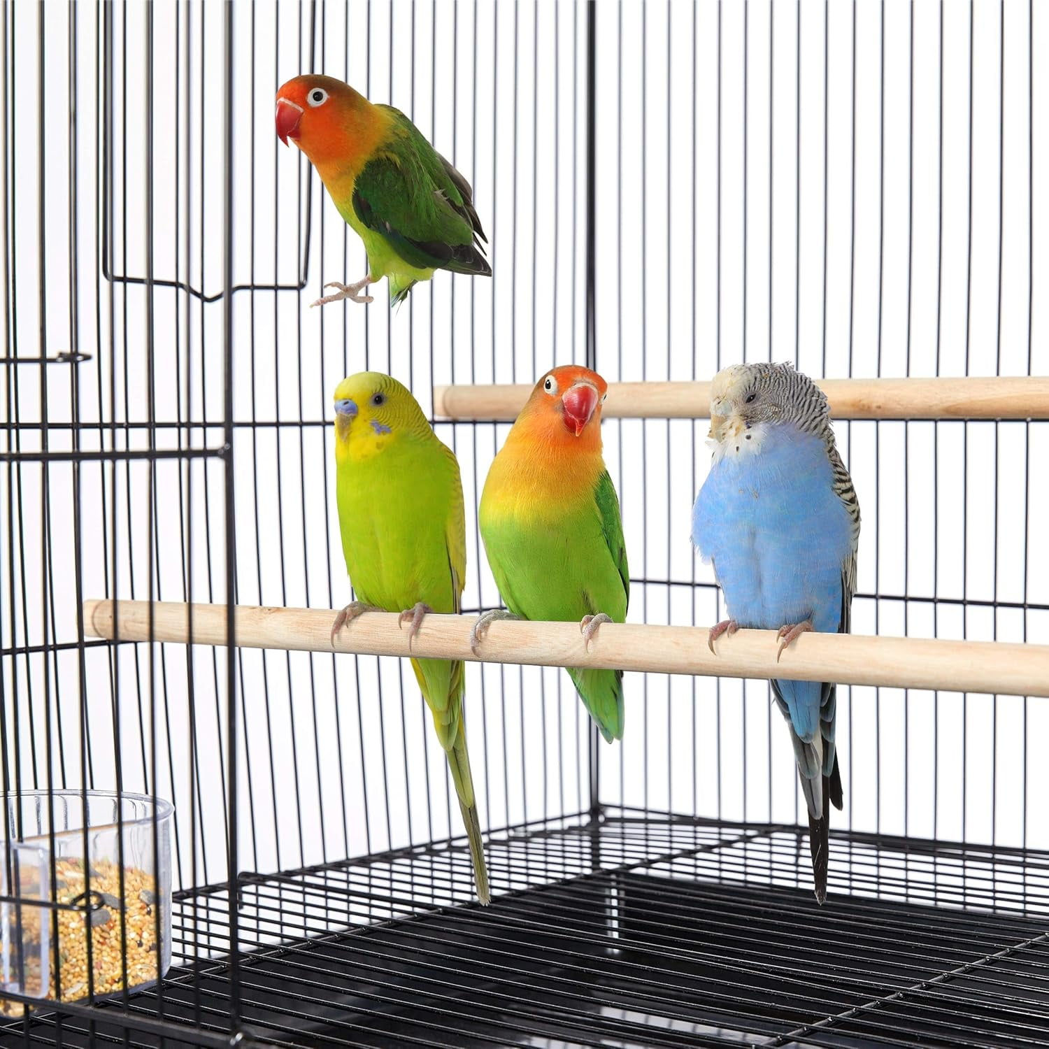 Favory 30'' Length Flight Bird Cage Iron Flight Parrot Cage for Small Parrots Parakeets Cockatiels Budgies Conures Quaker Parrot