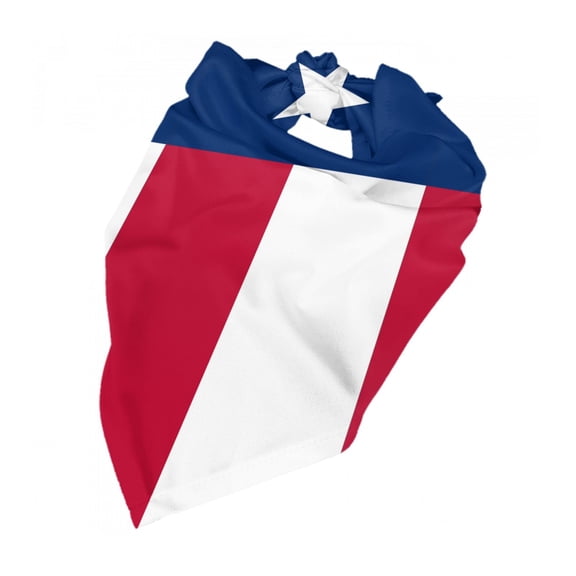 Texas Flag Dog Bandana Pet Scarf Dog Party Supplies For Dogs Pet Accessories For Dog Lovers