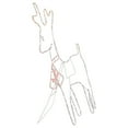 thumbnail image 5 of Northlight 36" Lighted Standing Reindeer Silhouette Outdoor Christmas Decor, 5 of 6