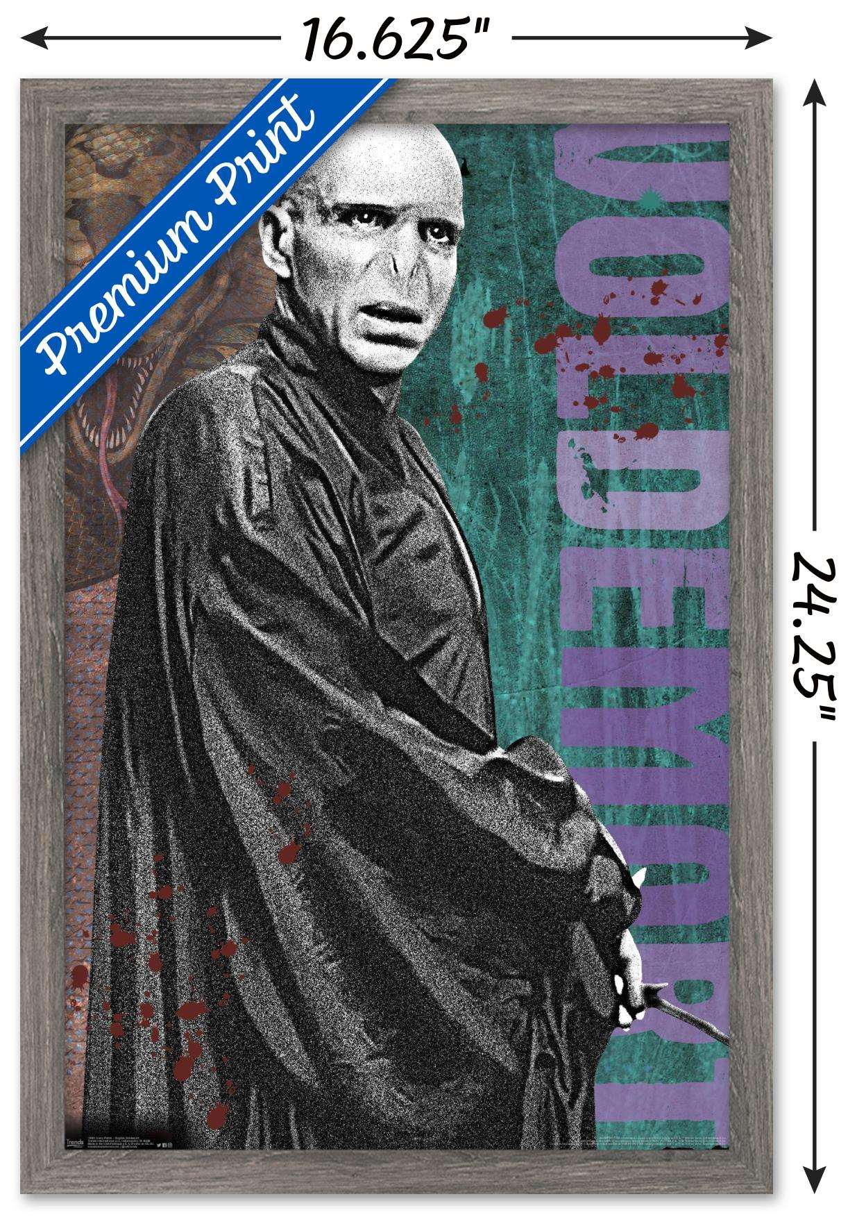 The Wizarding World: Harry Potter - Voldemort with Wand Wall Poster, 14.725" x 22.375", Framed