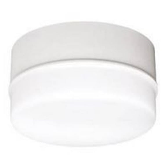 5 in. High Quality Spin Light