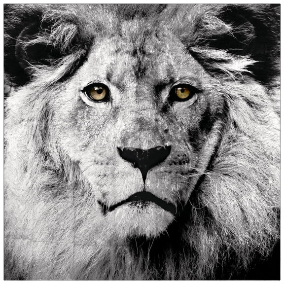 "King of the Jungle" Reverse Printed Tempered Glass with Silver Leaf