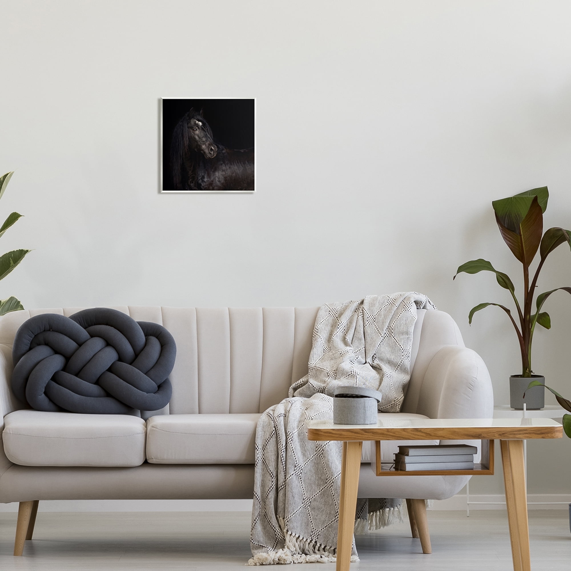 Stupell Industries Elegant Black Stallion Animals & Insects Photography Unframed Art Print Wall Art, 12 x 12