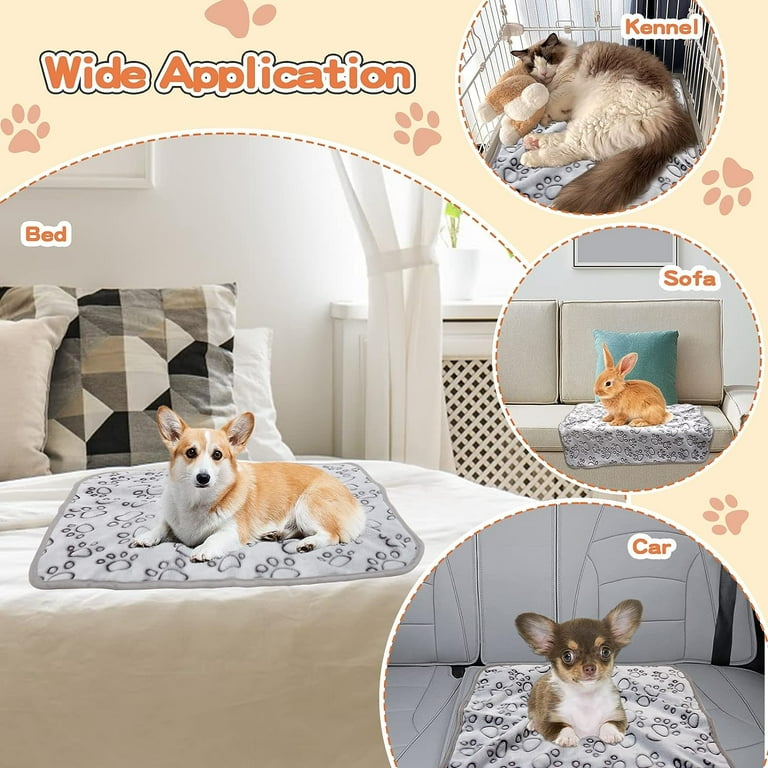 Puppy Essentials Cute Puppy Stuff Pawsitively Prepared: Essential