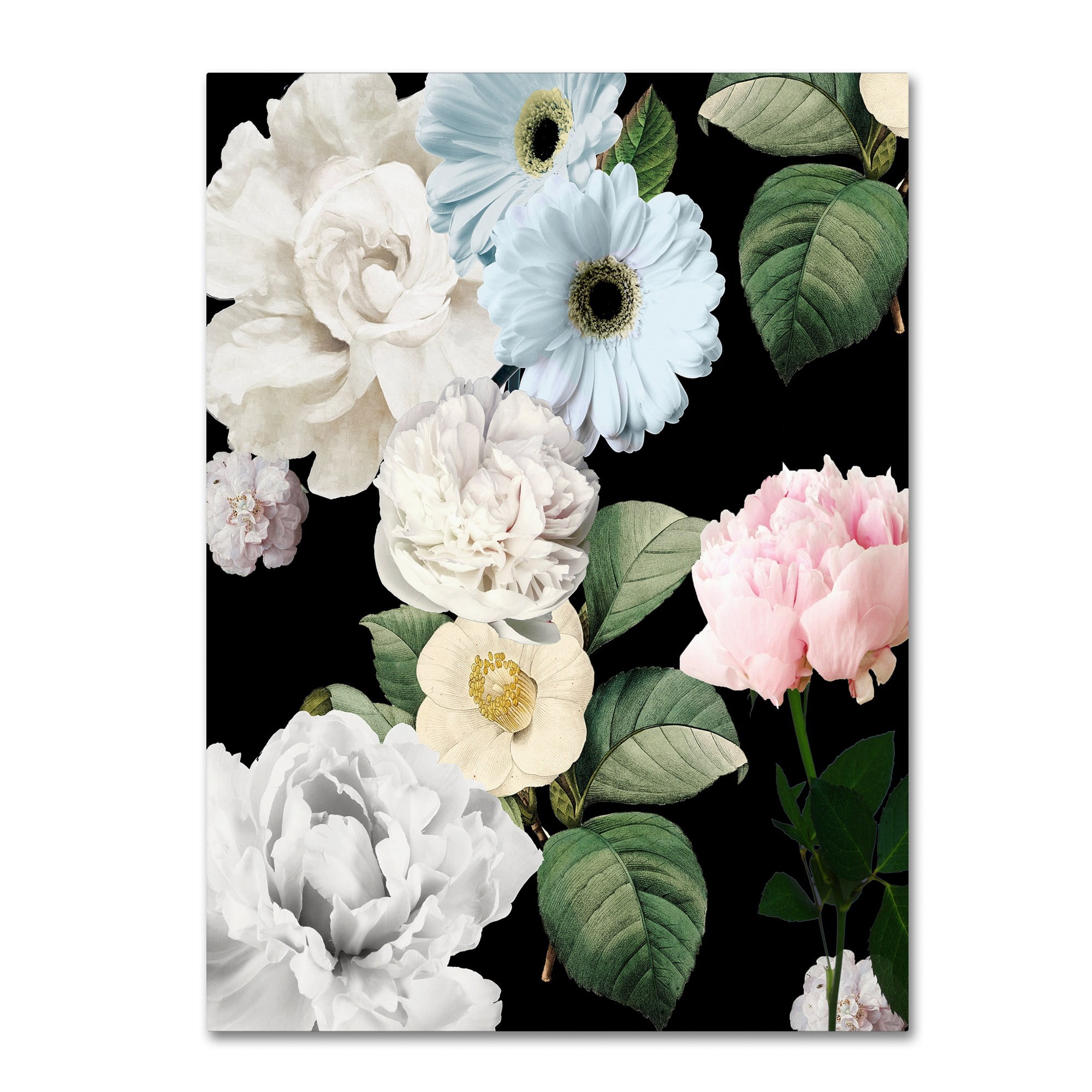 Trademark Fine Art "Wallflowers" Canvas Art by Color Bakery