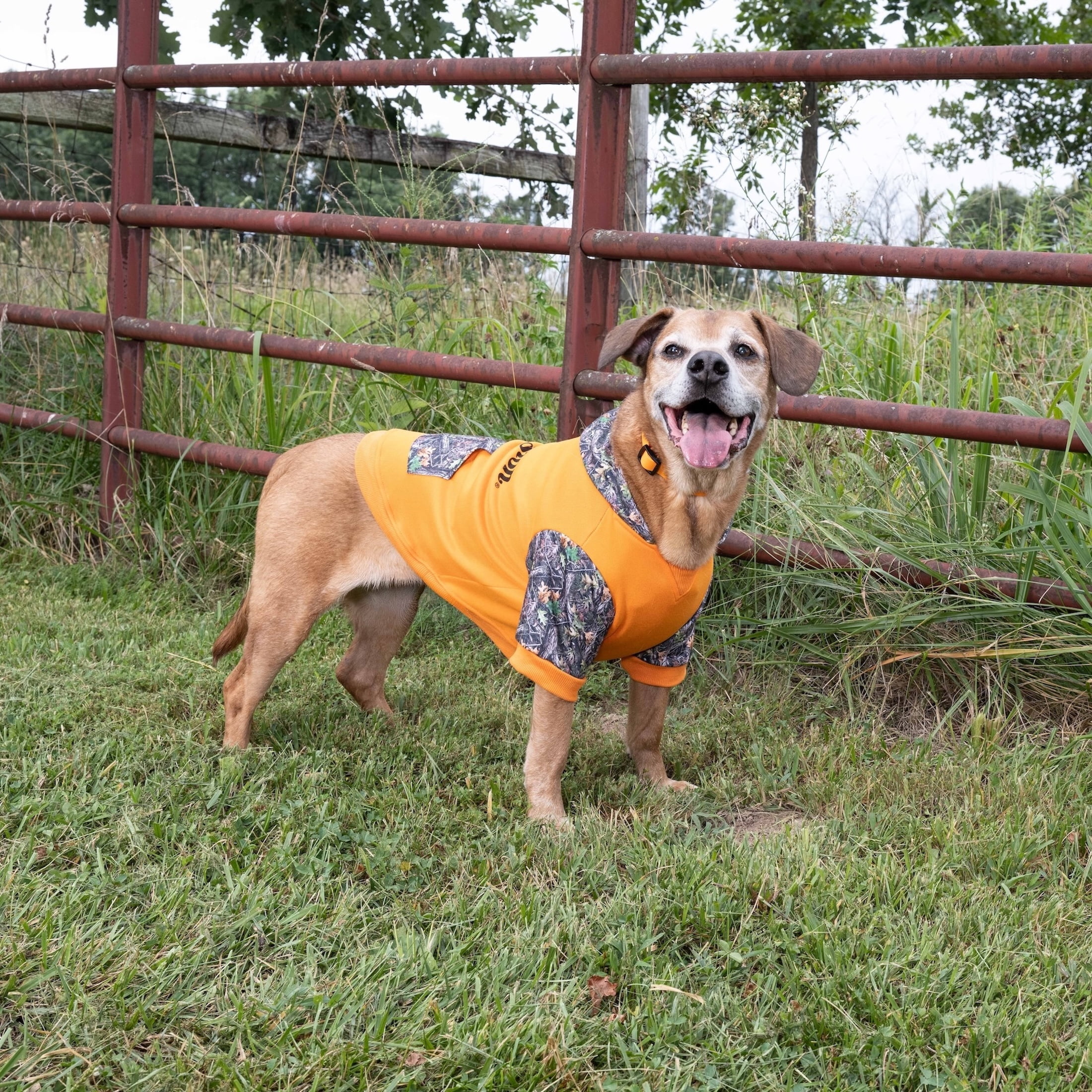 Remington Camo Logo Pet Hoodie for Dogs, Orange, Size M