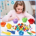 thumbnail image 4 of sixwipe Fine Motor Skills Toys for Early Sensory Education Color Sorting Matching Counting Training, Includes 12 Sorting Bowls, Assorted Tweezers, and 120 Colorful Plush Balls, 4 of 7