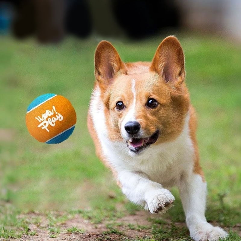 AOOOWER Interactive Fetches Machine For Active Pet Effortlessly Loading Tennis Ball Thrower
