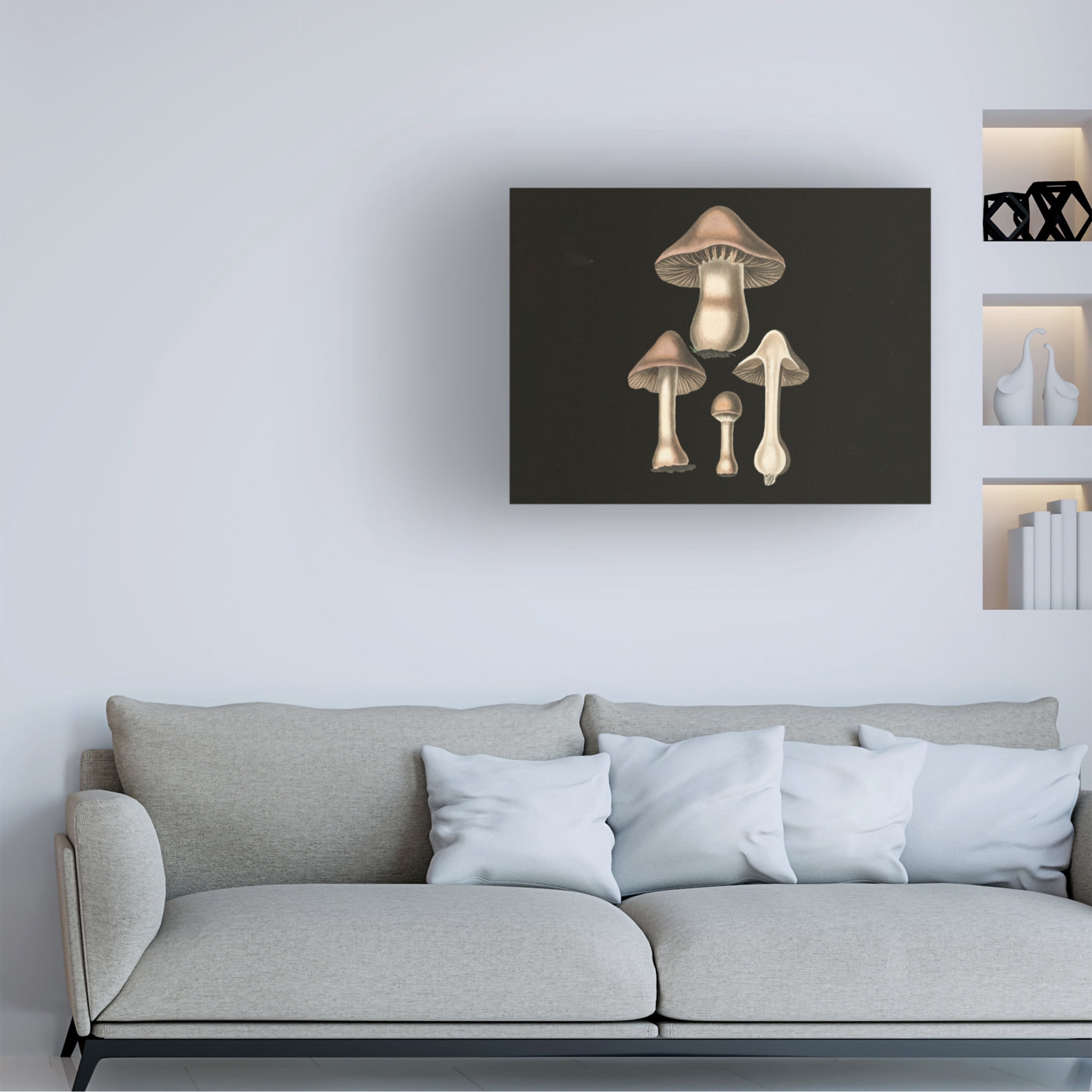 Trademark Fine Art Pictufy   Agaricus Bulbosus  Dark Background Canvas Wall Art