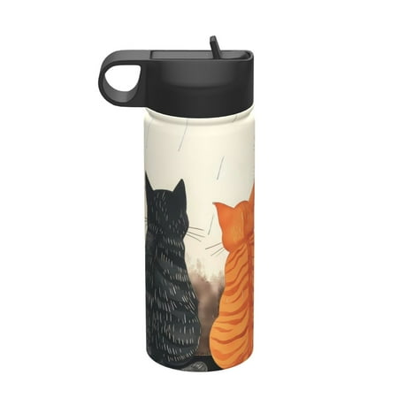 

KLL Four Cats Watching Rain Pattern 18OZ Water Bottle With Straw Stainless Steel Sports Water Cup Flask Sports Water Cup Flask Wide Mouth Travel Thermal Mug