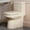 Bisque, variant on HOROW 12" Rough-In Small Compact One Piece Toilet, Dual Flush Modern Bathroom Toilet with Soft Closing Seat