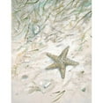 thumbnail image 3 of FISK, Arnie 15x18 Black Modern Framed Museum Art Print Titled - Seaside Starfish, 3 of 5
