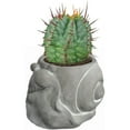 thumbnail image 2 of Classic Home and Garden Cement Buddies Indoor Outdoor Planter with Drainage Hole, Smiling Snail, Natural Gray, Small, 6in, 2 of 5
