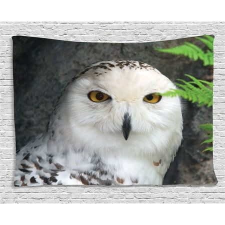 - Wizard Tapestry, Pattern White Owl Themed Animal Green Leaves Amber Eyes Gift Witchcraft Print, Wall Hanging for Bedroom Living Room Dorm Decor, 60W X 40L Inches, White Green Black, by Ambesonne