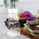 thumbnail image 3 of 6 botellas de miel con forma de oso para almacenar dulces, transparentes., 3 of 7