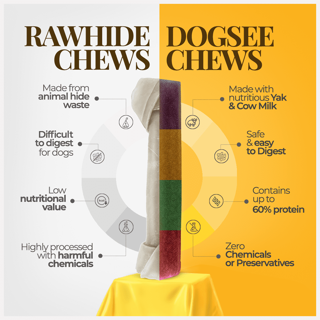 Dogsee Multiflavor Yak Cheese Dental Chews Large Dogs 1 lb 4 Aggressive-Chewer Bars