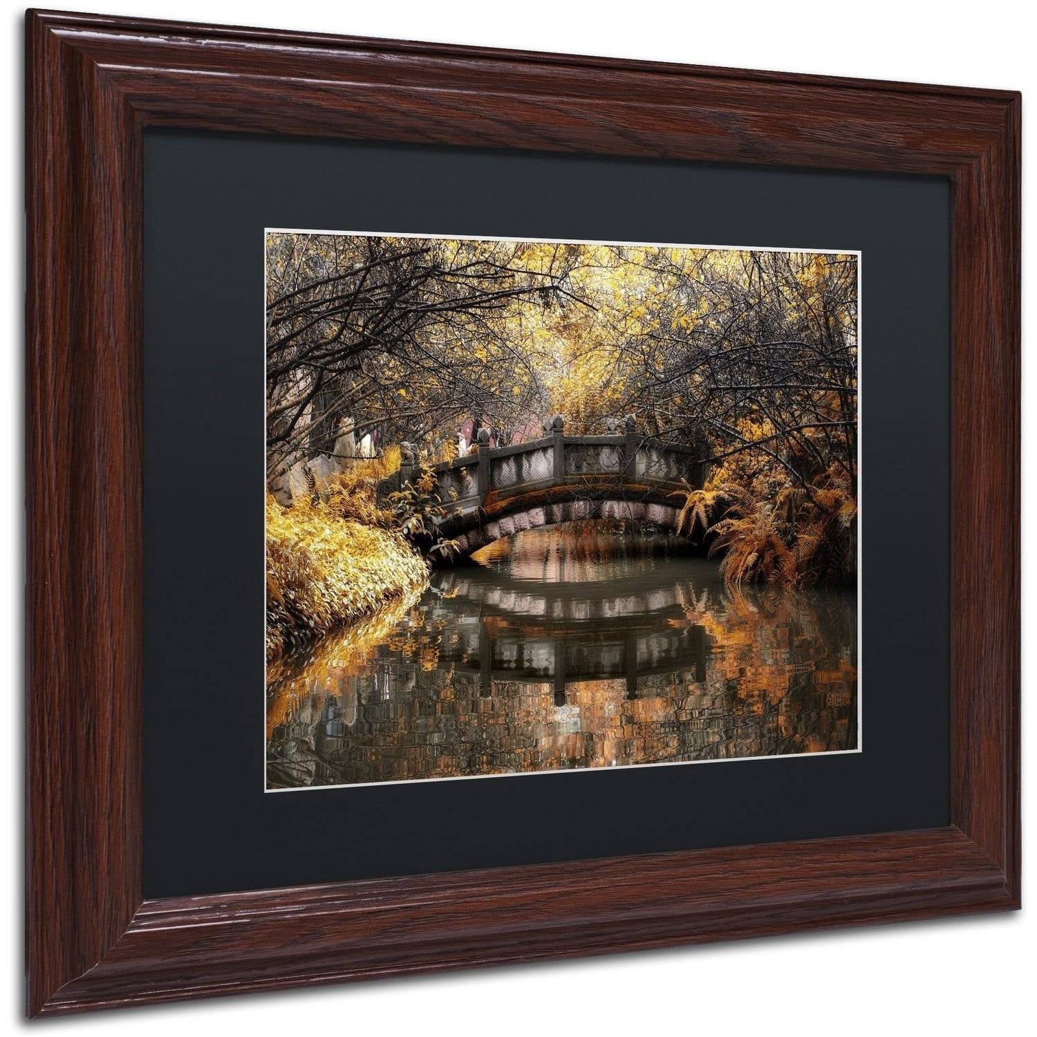 Trademark Fine Art "Dream Fall" Canvas Art by Philippe Hugonnard, Black Matte, Wood Frame