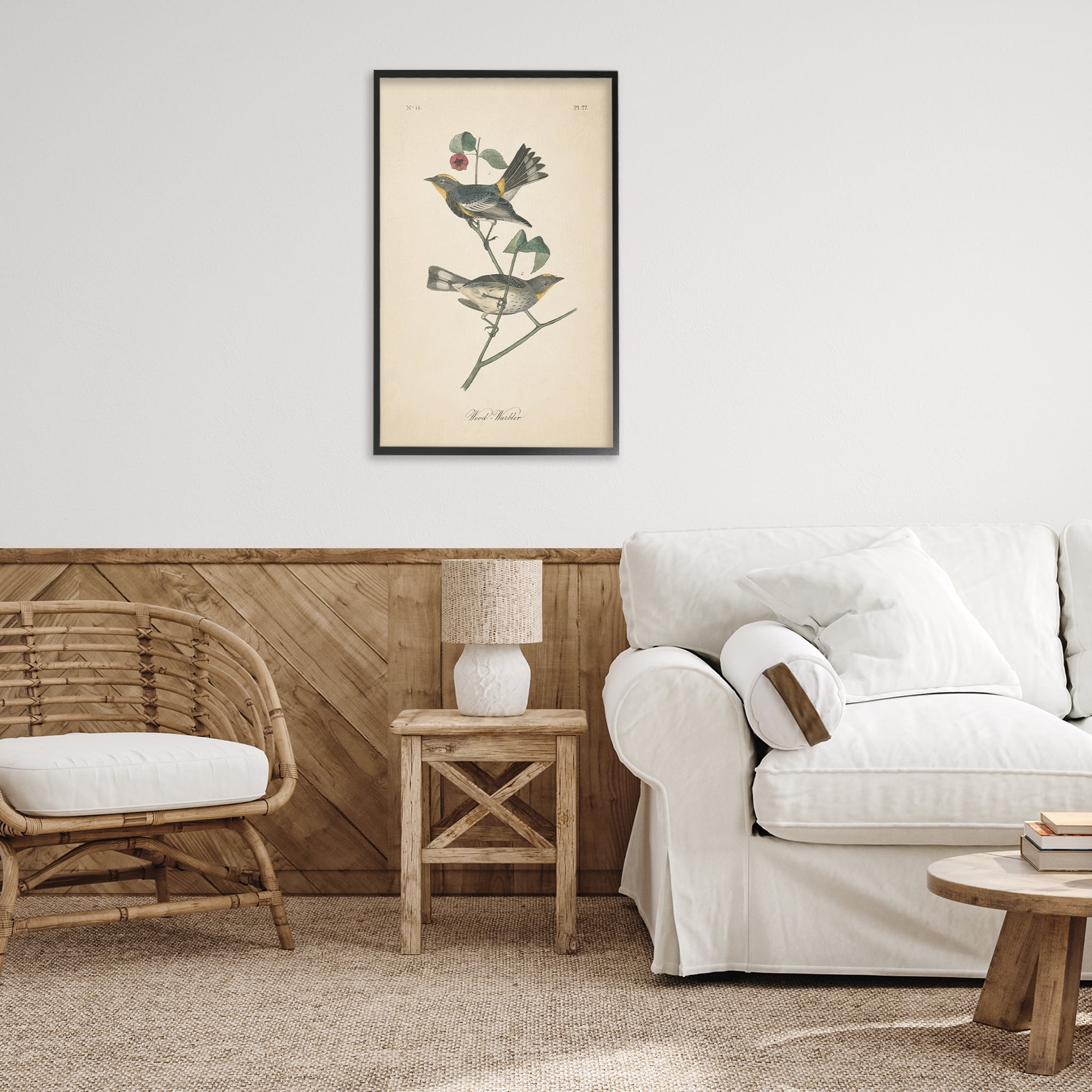 Stupell Industries Vintage Warbler Page Animals & Insects Painting Black Framed Art Print Wall Art, 20 x 30