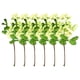 thumbnail image 1 of Decoración artificial Injueey 6 piezas con selecciones de frutas artificiales para coronas Flores artificiales Blanco y verde, 1 of 6
