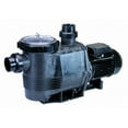 thumbnail image 1 of Waterco 2405075A 2 in. 0.75 HP Single Phase 115 & 230V Hydrostorm Plus Pump, 1 of 1