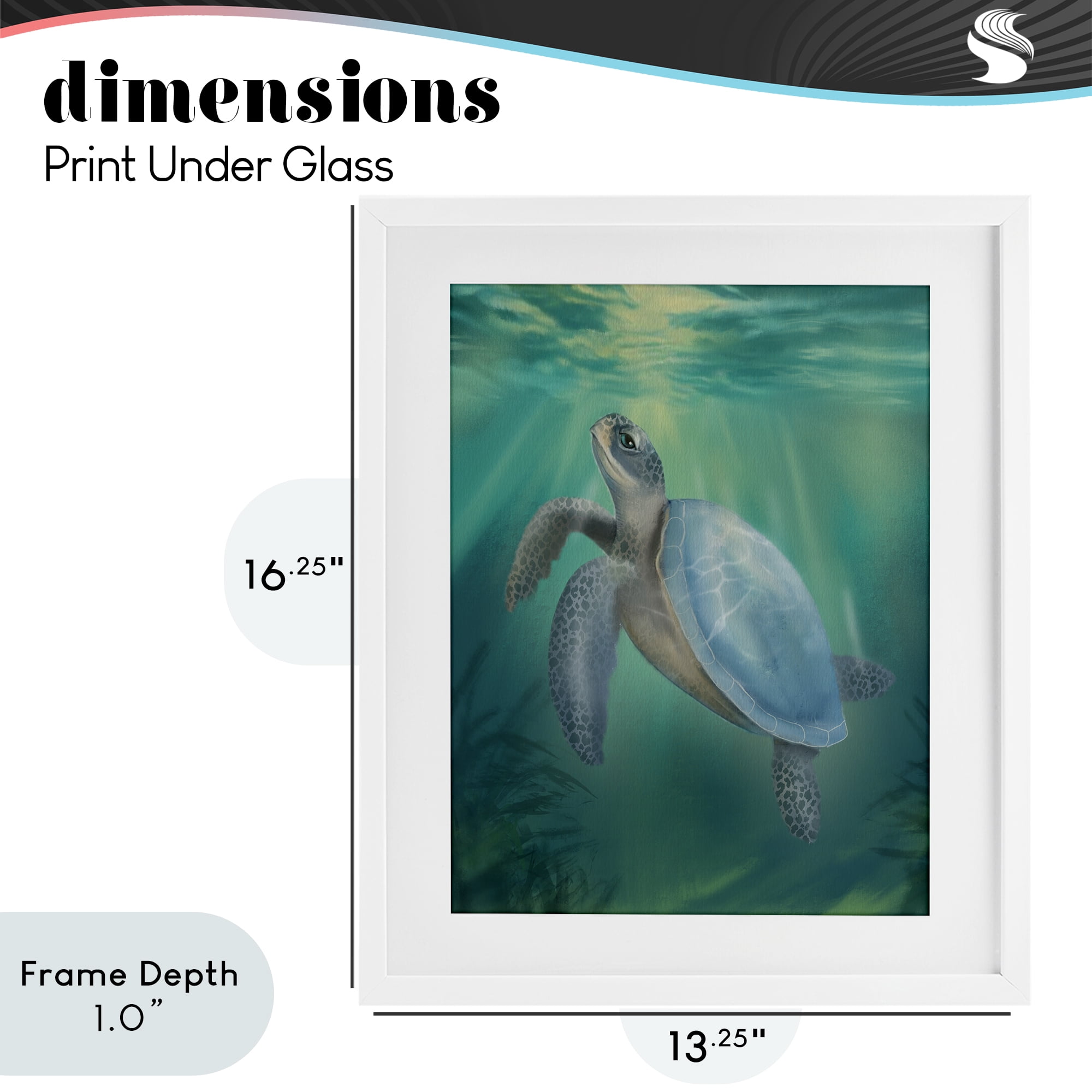 Stupell Industries Coastal Beach Sea Turtle White Framed Print Under Glass, design by Matthew Piotrowicz