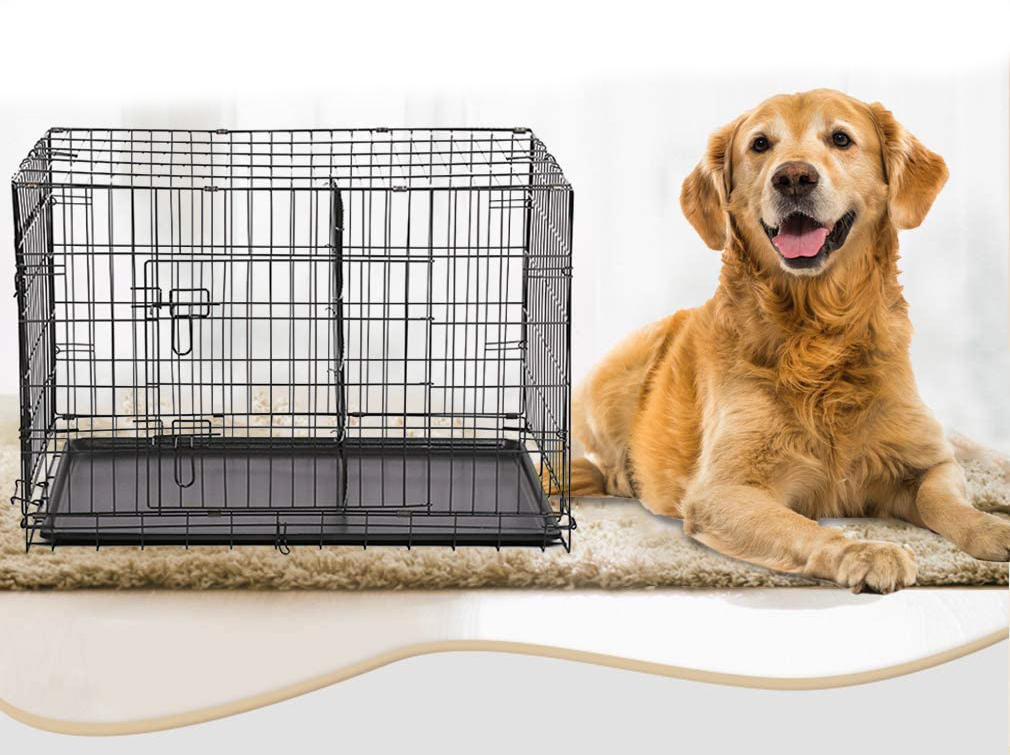 walmart dog crate with divider