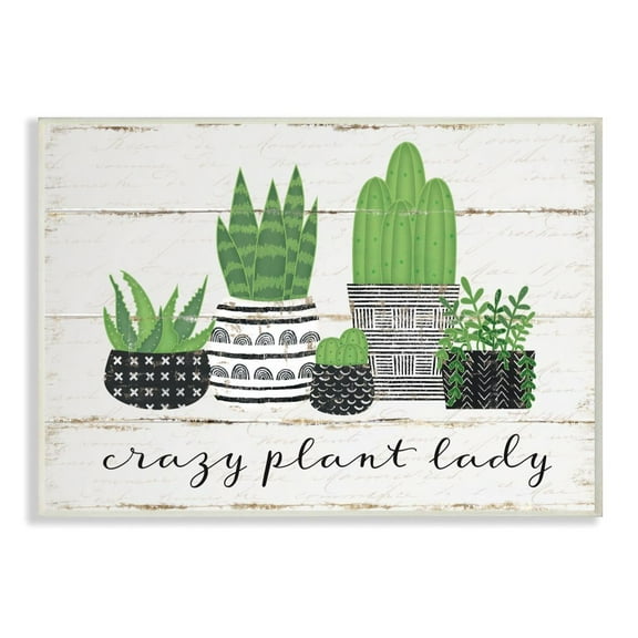Stupell Industries Crazy Plant Lady Cacti Succulents Wood Textured Design Graphic Art Unframed Art Print Wall Art, 13x19, by Jennifer Pugh
