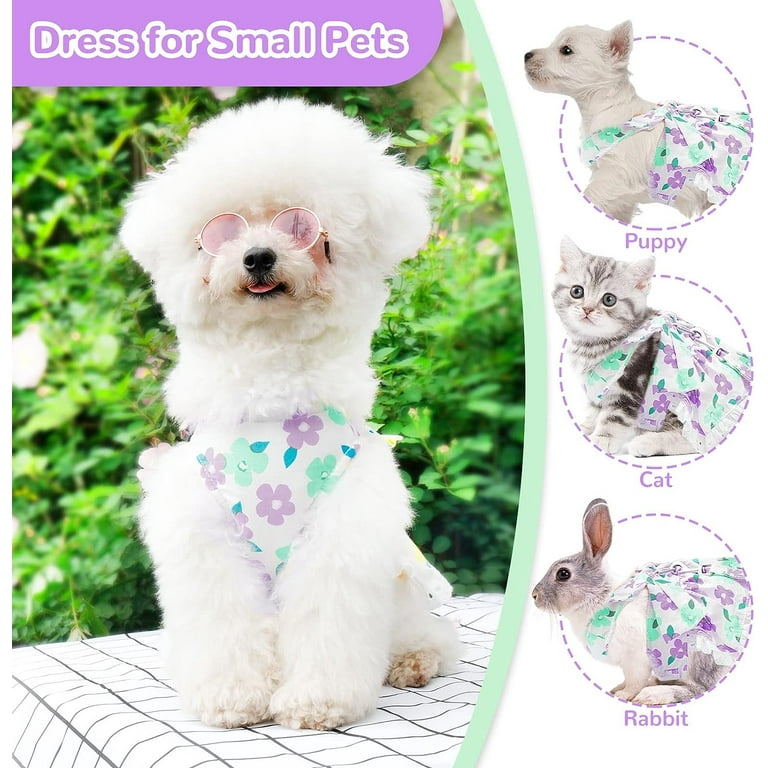 cath kidston pets party dress Buy Cath Kidston Blue Fancy Dogs Cath Kidston Cotton Collar Dress (3mths-8yrs) from the Next UK online shop
