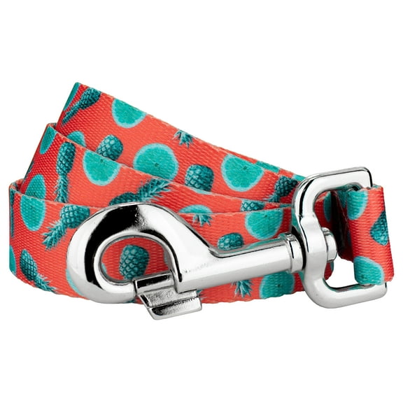 Country Brook Petz - 5/8 inch Tropical Tango Dog Leash - 4 Foot