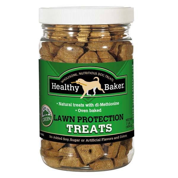 mini french poodle minitoy