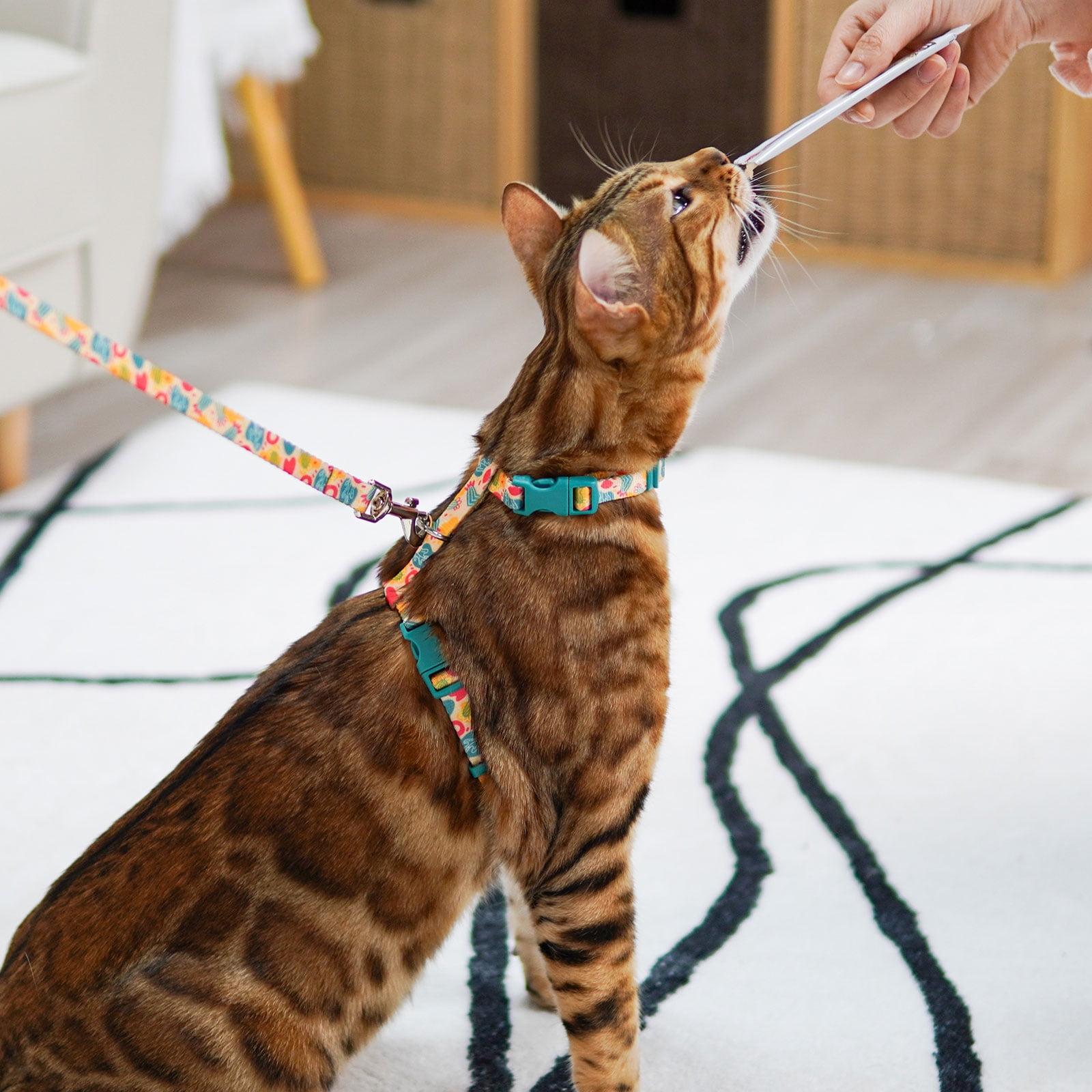 azuza Cat Harness and Leash Set for Safe Walking and Travel Cat Harness Escape Proof Lightweight Size Adjustable Soft Material for Small Large Cats Yellow Cactus Walmart