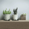 thumbnail image 2 of Mini , Cute Animal Shaped Pots Feet Animal Figurines Ornaments Plant Pot Support Feet, for Indoor and Outdoor C, 2 of 6